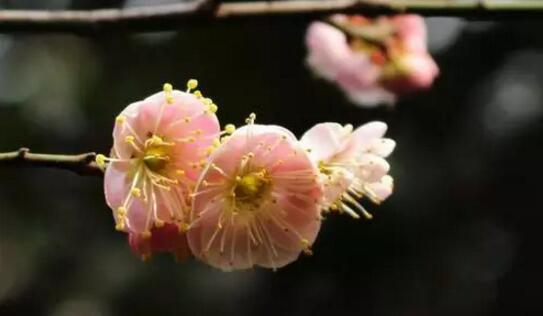 護(hù)目亭視力養(yǎng)護(hù)加盟新年寄語(yǔ)